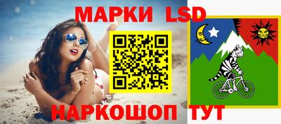 индика Заволжье