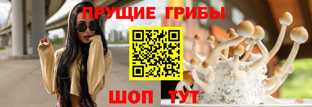 Мариинск  Псилоцибиновые грибы мицелий  Галлюциногенные грибы Magic Shrooms  Вход с VPN 